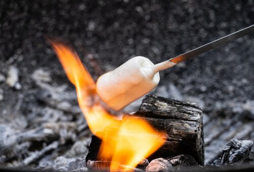 
    Cukroví marshmallows
  